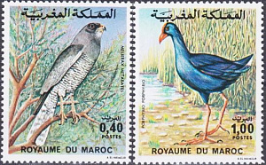 Марокко, 1976, Птицы, 2 марки